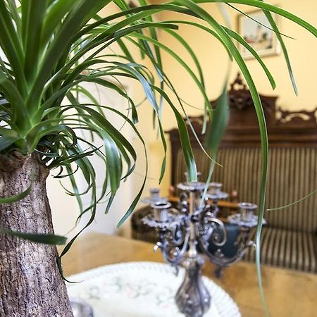Luna Apartment Novi Sad Eksteriør bilde