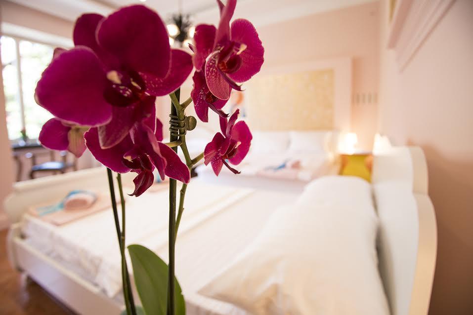 Luna Apartment Novi Sad Eksteriør bilde