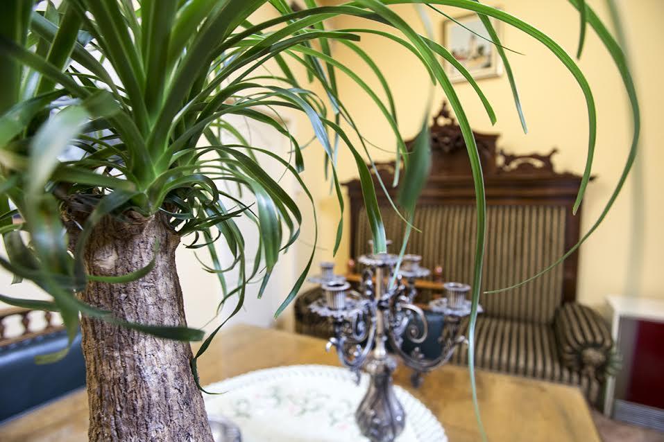 Luna Apartment Novi Sad Eksteriør bilde